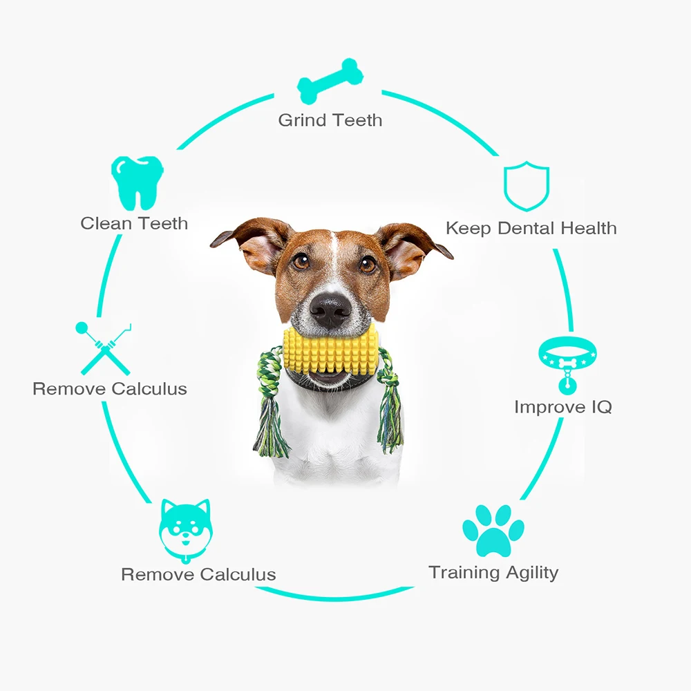 Mısır Bite Dayanıklı köpek diş fırçası Yüzen İnteraktif Oyuncak Köpekler için Diş Temizleme Sızıntı Köpek Oyuncak Malzemeleri Evcil Hayvan Ürünleri Görüntü 1